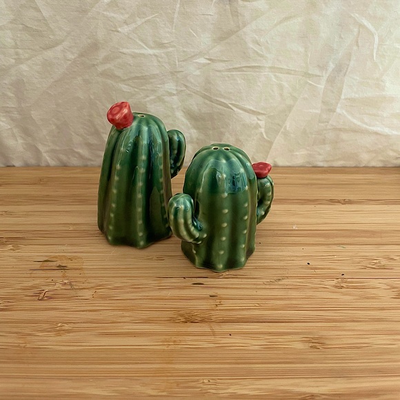 Cactus Salt and Pepper Shaker - Picture 1 of 1